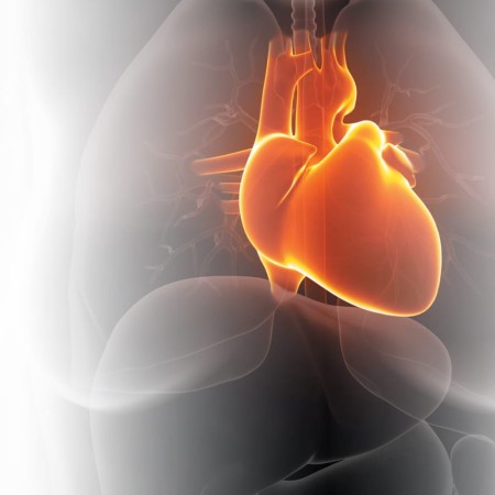 Aparat EKG M-TRACE PC (Windows, Android) od Medica 91