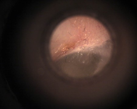 podstawowa opieka zdrowotna sklep sprzet medyczny diagnostyczny dla postawowej opieki medycznej Poznan